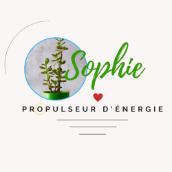 Sophie Bienvenue ♥ Propulseur d'énergie